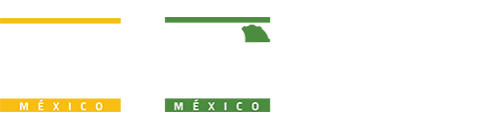 Expo Seguridad México